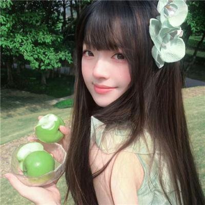 百合熊风暴